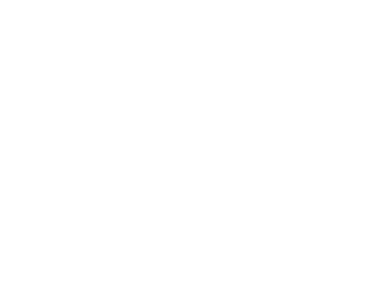 CELDUC TRANSFO logo footer